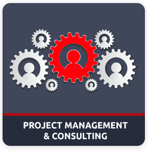 Project Management & Consulting